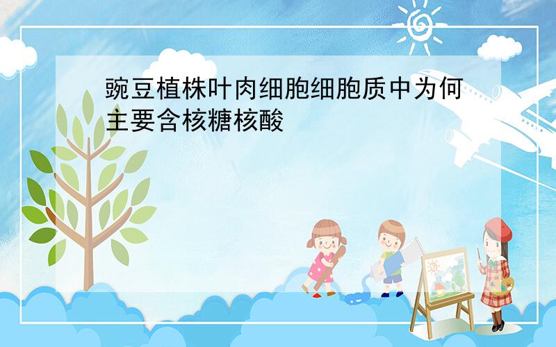 豌豆植株叶肉细胞细胞质中为何主要含核糖核酸