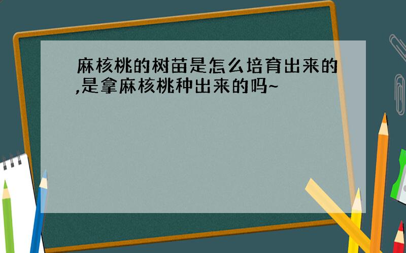 麻核桃的树苗是怎么培育出来的,是拿麻核桃种出来的吗~