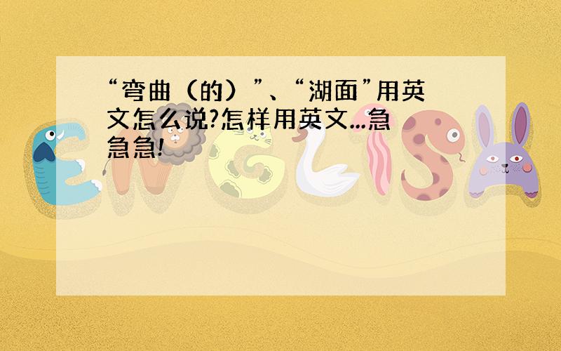 “弯曲（的）”、“湖面”用英文怎么说?怎样用英文...急急急!