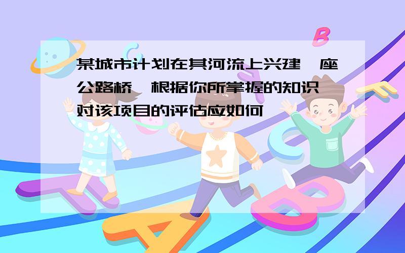 某城市计划在其河流上兴建一座公路桥,根据你所掌握的知识,对该项目的评估应如何