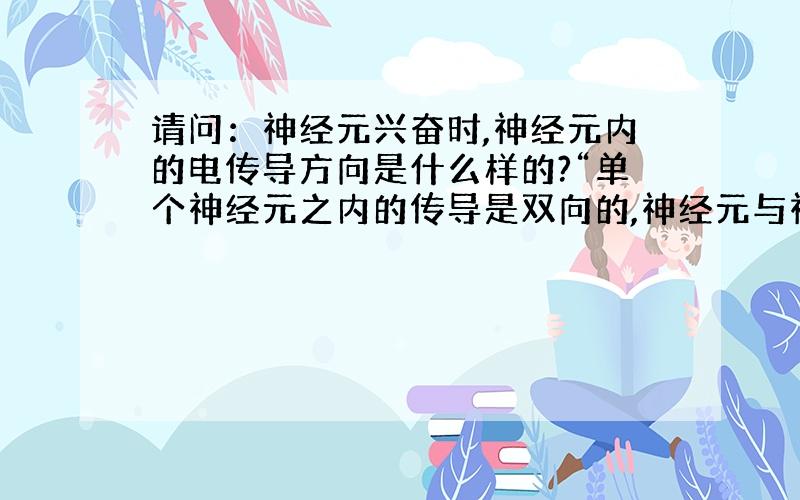 请问：神经元兴奋时,神经元内的电传导方向是什么样的?“单个神经元之内的传导是双向的,神经元与神经元之间是单向的 ”怎么理