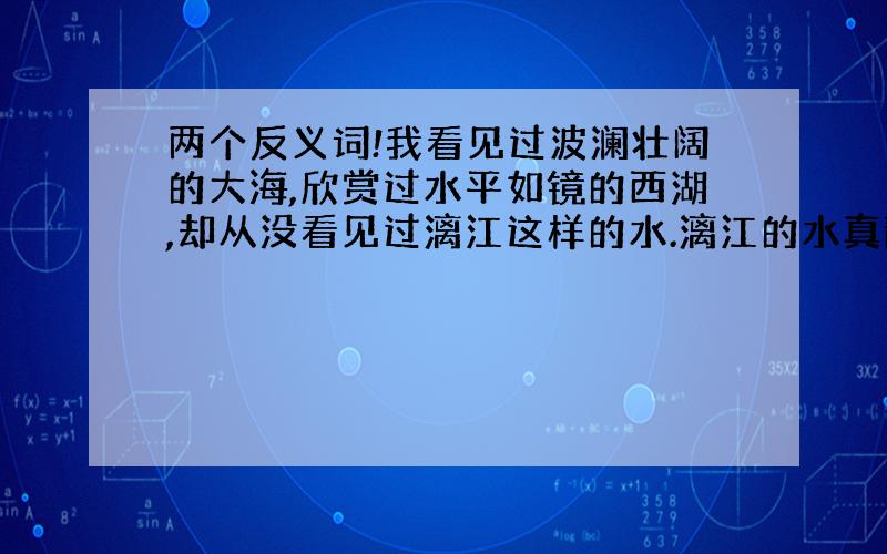 两个反义词!我看见过波澜壮阔的大海,欣赏过水平如镜的西湖,却从没看见过漓江这样的水.漓江的水真静啊,静得让我感觉不到它在