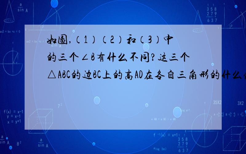 如图,（1）（2）和（3）中的三个∠B有什么不同?这三个△ABC的边BC上的高AD在各自三角形的什么位置?