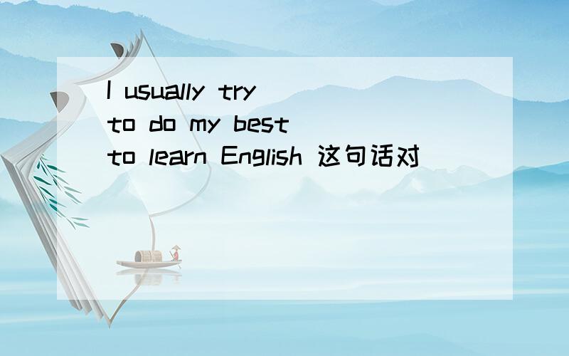 I usually try to do my best to learn English 这句话对