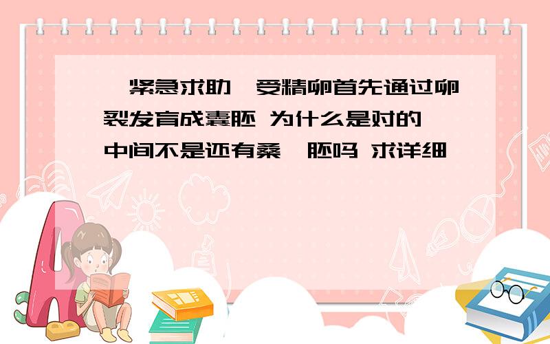 【紧急求助】受精卵首先通过卵裂发育成囊胚 为什么是对的 中间不是还有桑葚胚吗 求详细