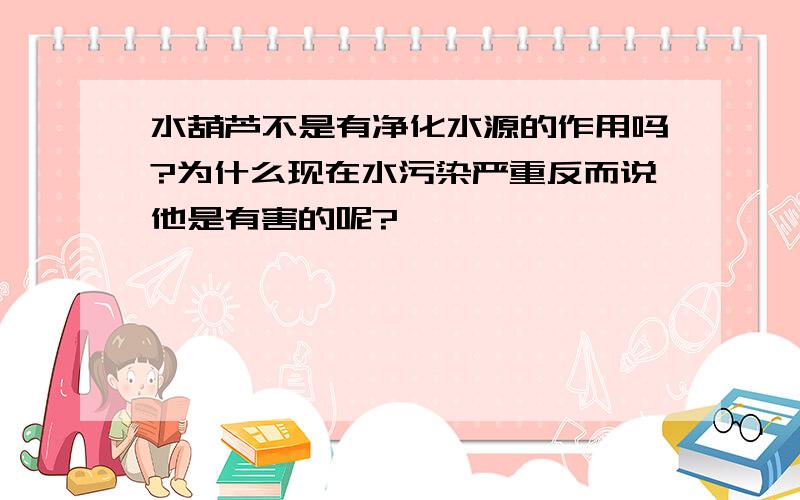 水葫芦不是有净化水源的作用吗?为什么现在水污染严重反而说他是有害的呢?