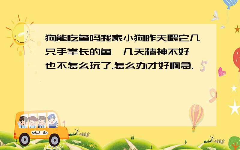 狗能吃鱼吗我家小狗昨天喂它几只手掌长的鱼,几天精神不好,也不怎么玩了.怎么办才好啊急.