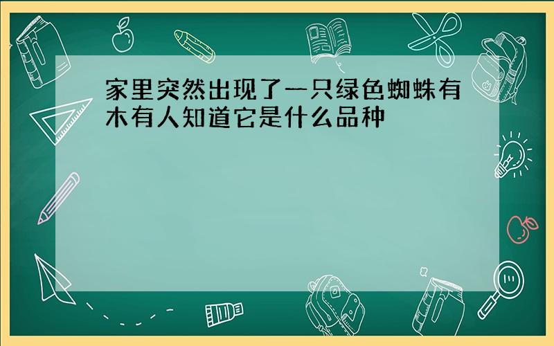 家里突然出现了一只绿色蜘蛛有木有人知道它是什么品种