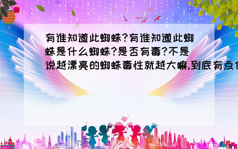 有谁知道此蜘蛛?有谁知道此蜘蛛是什么蜘蛛?是否有毒?不是说越漂亮的蜘蛛毒性就越大嘛,到底有点什么危害?是在我后院发现的.