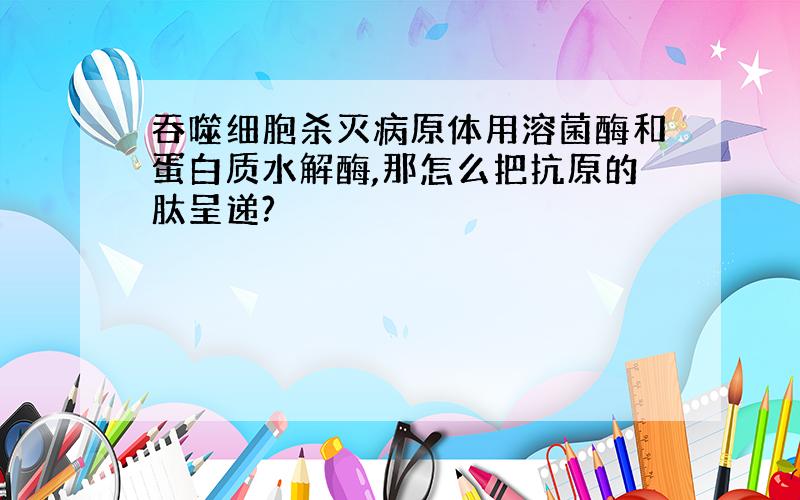 吞噬细胞杀灭病原体用溶菌酶和蛋白质水解酶,那怎么把抗原的肽呈递?