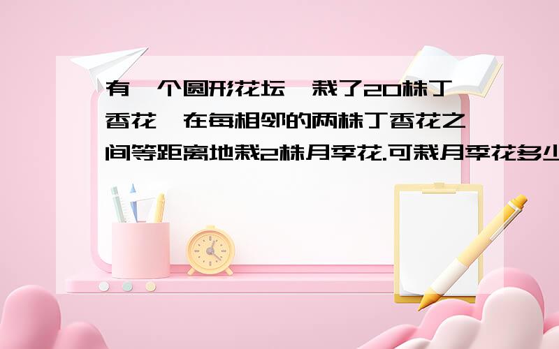 有一个圆形花坛,栽了20株丁香花,在每相邻的两株丁香花之间等距离地栽2株月季花.可栽月季花多少棵