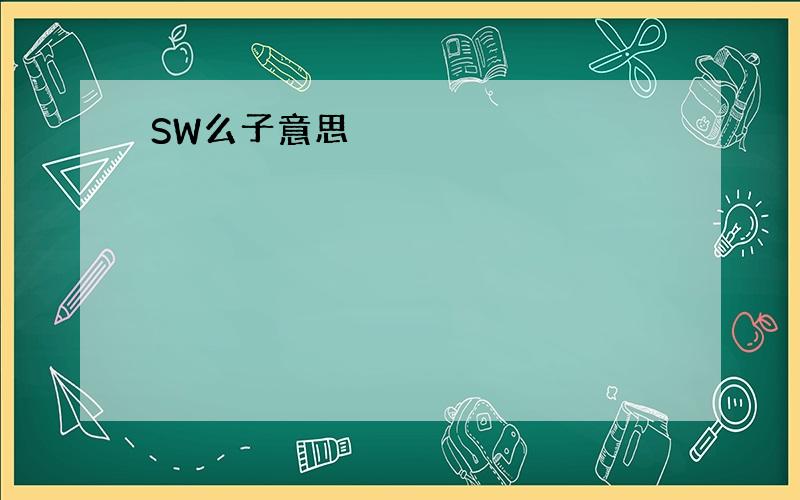 SW么子意思