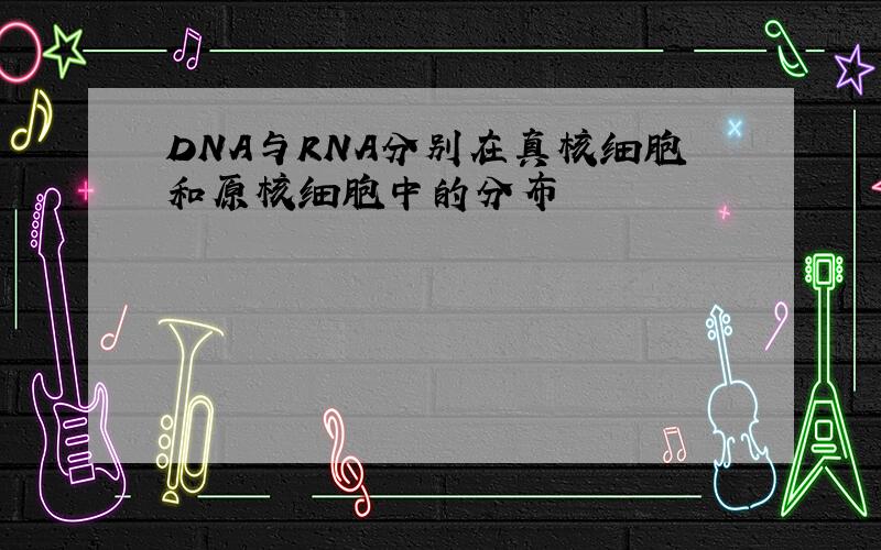 DNA与RNA分别在真核细胞和原核细胞中的分布