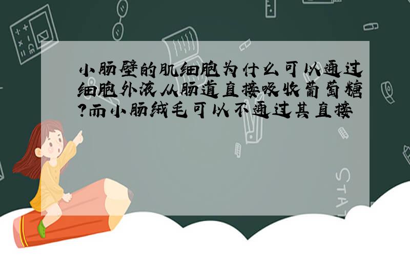 小肠壁的肌细胞为什么可以通过细胞外液从肠道直接吸收葡萄糖?而小肠绒毛可以不通过其直接