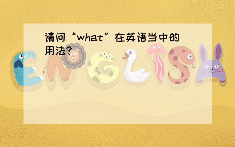 请问“what”在英语当中的用法?