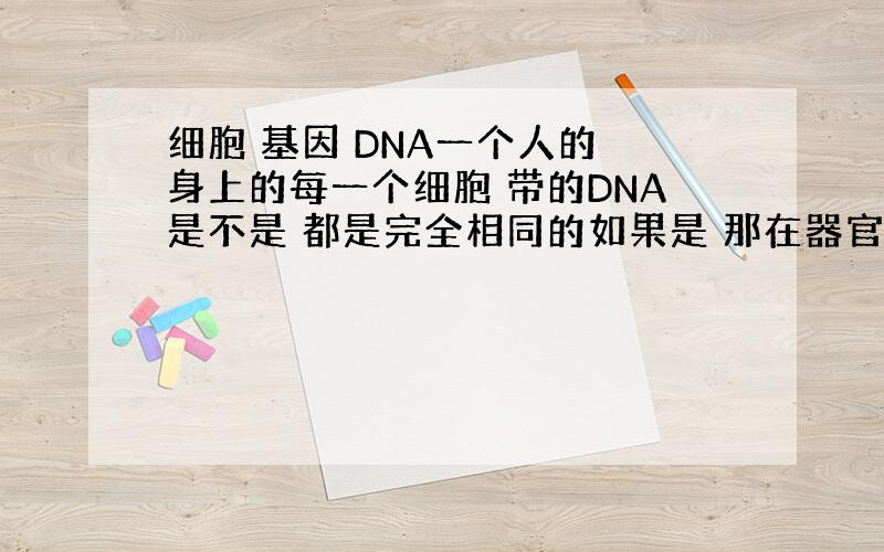 细胞 基因 DNA一个人的 身上的每一个细胞 带的DNA是不是 都是完全相同的如果是 那在器官移植的时候 一个人身上同时