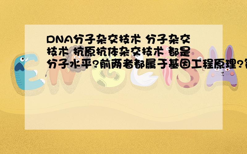 DNA分子杂交技术 分子杂交技术 抗原抗体杂交技术 都是分子水平?前两者都属于基因工程原理?第三个呢?