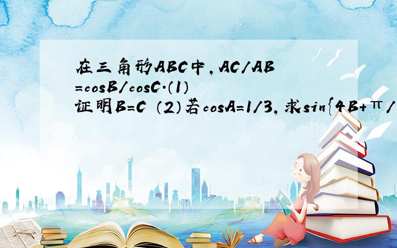 在三角形ABC中,AC/AB=cosB/cosC.（1）证明B=C （2）若cosA=1/3,求sin{4B+π/3}的