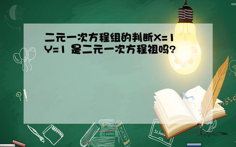 二元一次方程组的判断X=1 Y=1 是二元一次方程祖吗?