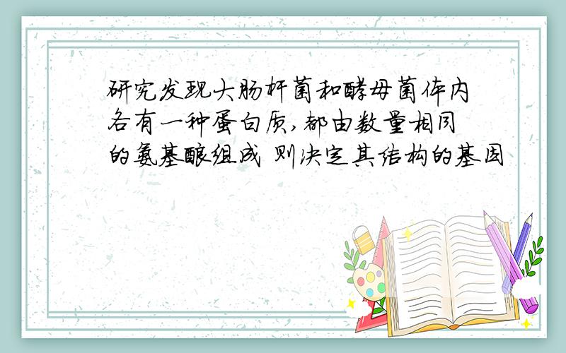 研究发现大肠杆菌和酵母菌体内各有一种蛋白质,都由数量相同的氨基酸组成 则决定其结构的基因