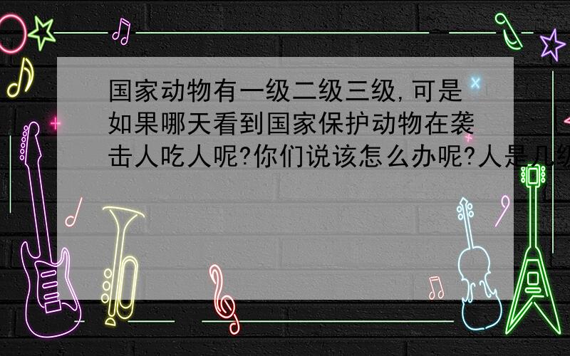 国家动物有一级二级三级,可是如果哪天看到国家保护动物在袭击人吃人呢?你们说该怎么办呢?人是几级呢?