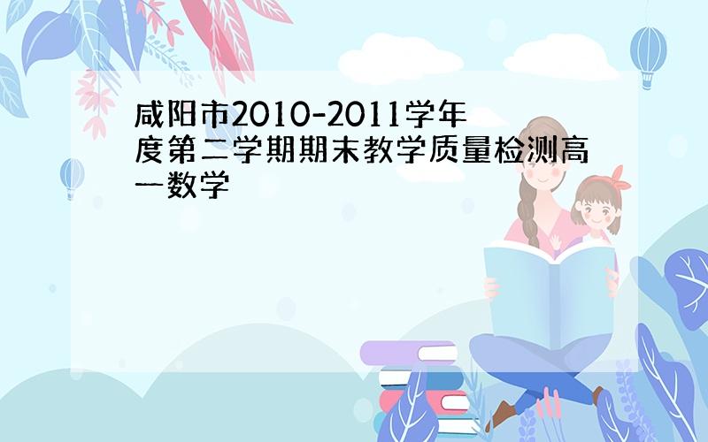 咸阳市2010-2011学年度第二学期期末教学质量检测高一数学