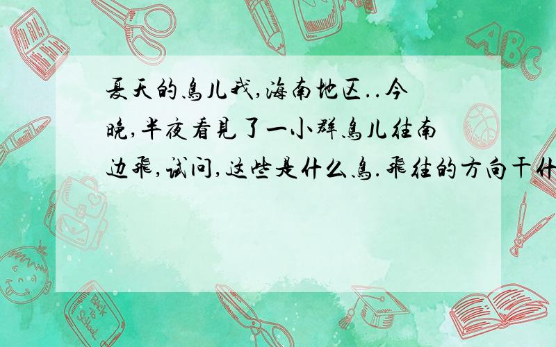 夏天的鸟儿我,海南地区..今晚,半夜看见了一小群鸟儿往南边飞,试问,这些是什么鸟.飞往的方向干什么去?我哪来的照片给你们