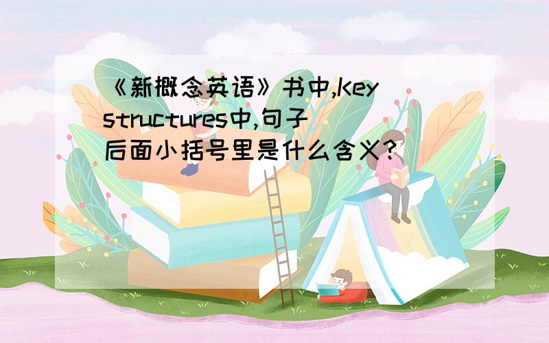 《新概念英语》书中,Key structures中,句子后面小括号里是什么含义?