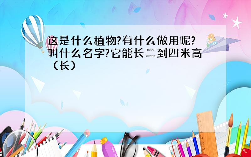 这是什么植物?有什么做用呢?叫什么名字?它能长二到四米高（长）