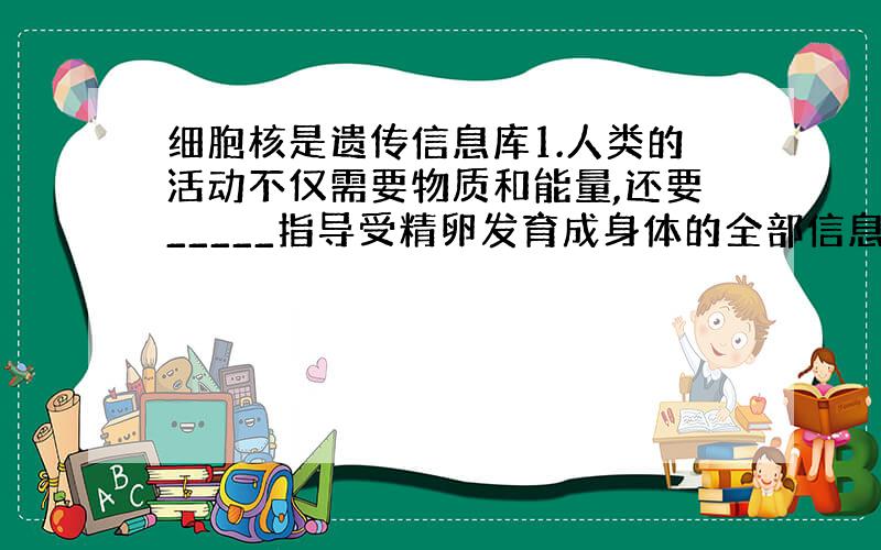 细胞核是遗传信息库1.人类的活动不仅需要物质和能量,还要_____指导受精卵发育成身体的全部信息是由父母遗传下来,因而叫