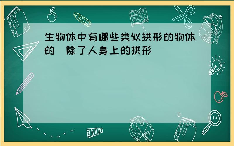 生物体中有哪些类似拱形的物体的（除了人身上的拱形）