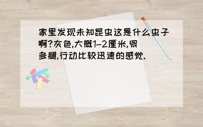 家里发现未知昆虫这是什么虫子啊?灰色,大概1-2厘米,很多腿,行动比较迅速的感觉.