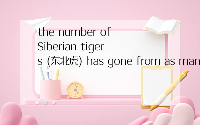 the number of Siberian tigers (东北虎) has gone from as many as