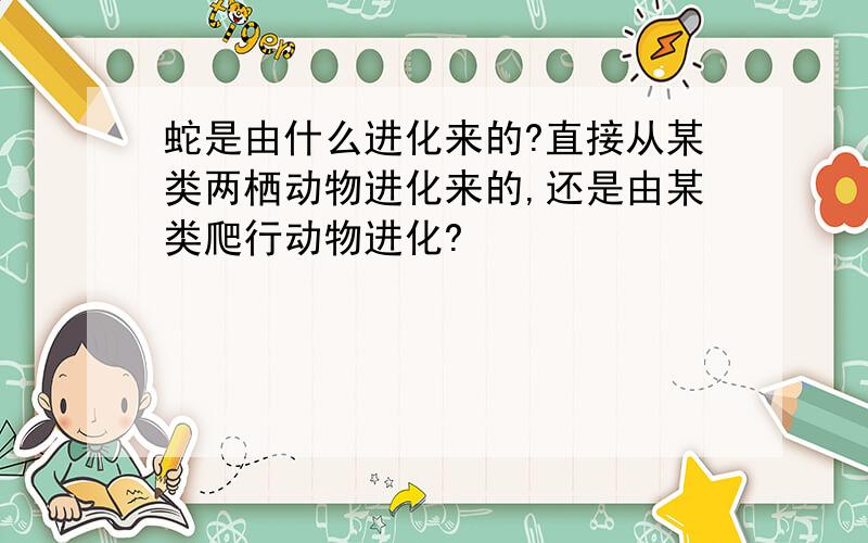 蛇是由什么进化来的?直接从某类两栖动物进化来的,还是由某类爬行动物进化?