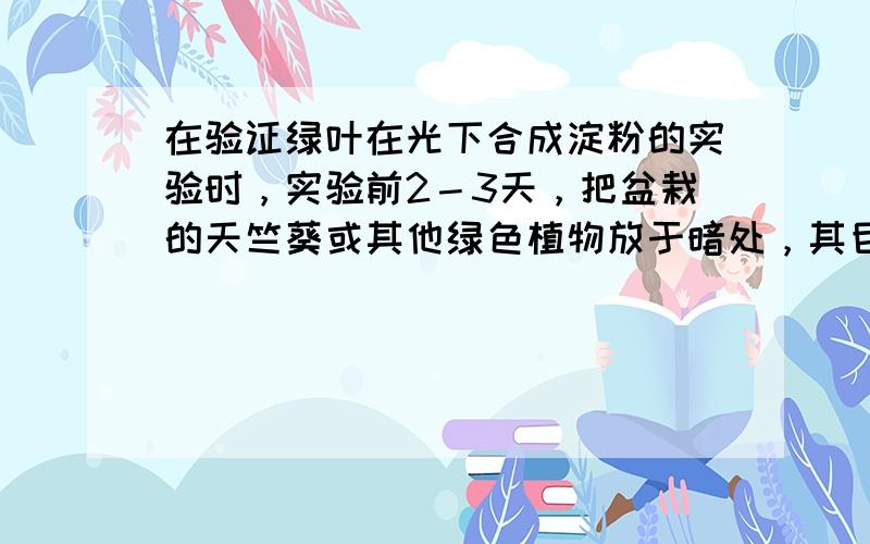 在验证绿叶在光下合成淀粉的实验时，实验前2－3天，把盆栽的天竺葵或其他绿色植物放于暗处，其目的是 [ &nbs