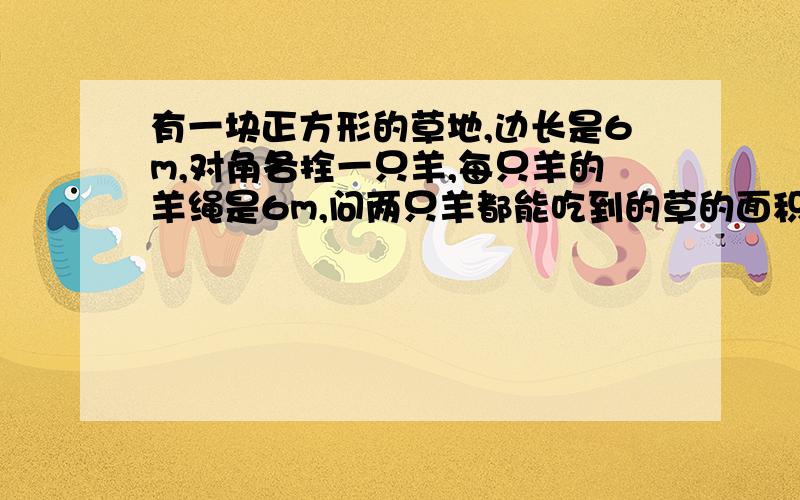 有一块正方形的草地,边长是6m,对角各拴一只羊,每只羊的羊绳是6m,问两只羊都能吃到的草的面积是多少?