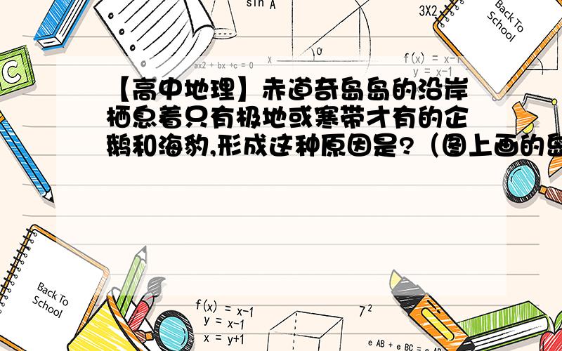 【高中地理】赤道奇岛岛的沿岸栖息着只有极地或寒带才有的企鹅和海豹,形成这种原因是?（图上画的岛在南美洲西部附近）