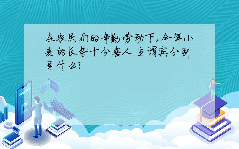 在农民们的辛勤劳动下,今年小麦的长势十分喜人.主谓宾分别是什么?