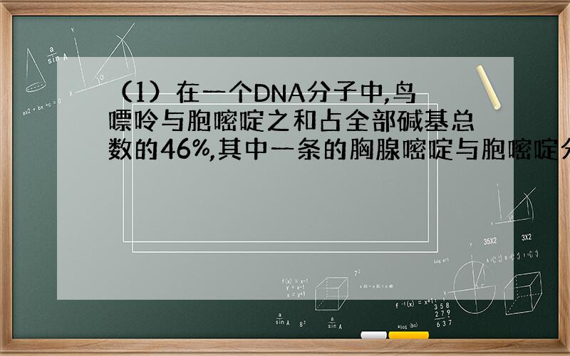 （1）在一个DNA分子中,鸟嘌呤与胞嘧啶之和占全部碱基总数的46%,其中一条的胸腺嘧啶与胞嘧啶分别占该碱基总数的32%和