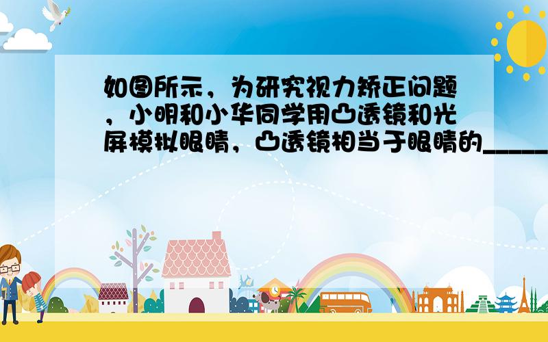 如图所示，为研究视力矫正问题，小明和小华同学用凸透镜和光屏模拟眼睛，凸透镜相当于眼睛的______，光屏相当于眼睛的__