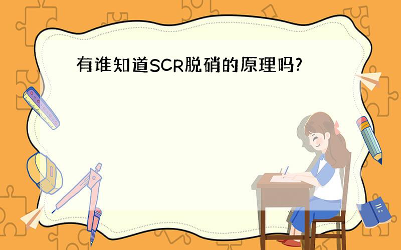 有谁知道SCR脱硝的原理吗?