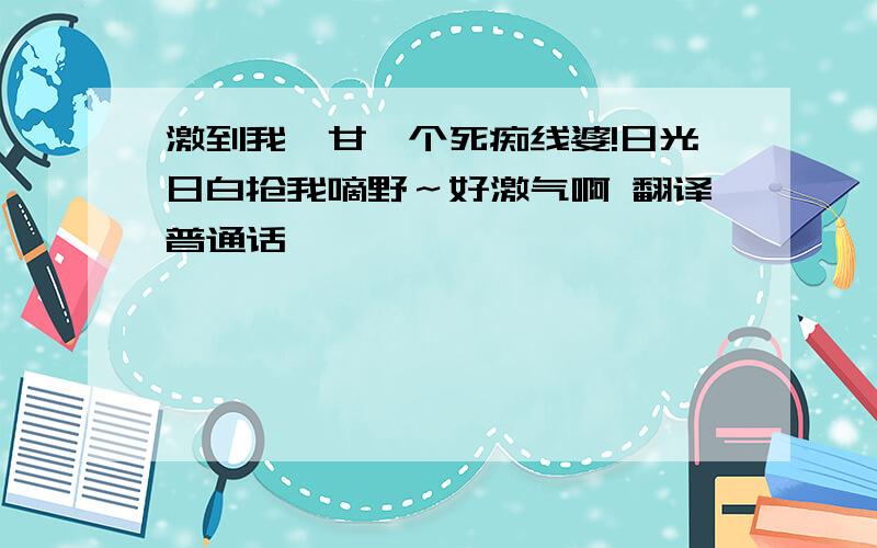 激到我乜甘…个死痴线婆!日光日白抢我嘀野～好激气啊 翻译普通话