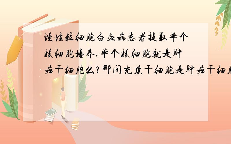 慢性粒细胞白血病患者提取单个核细胞培养,单个核细胞就是肿瘤干细胞么?那间充质干细胞是肿瘤干细胞?