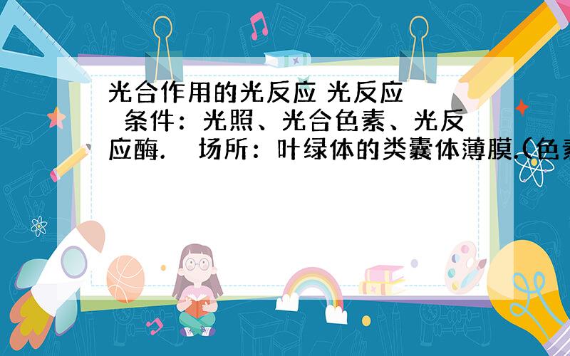 光合作用的光反应 光反应 　　条件：光照、光合色素、光反应酶.　　场所：叶绿体的类囊体薄膜.(色素）