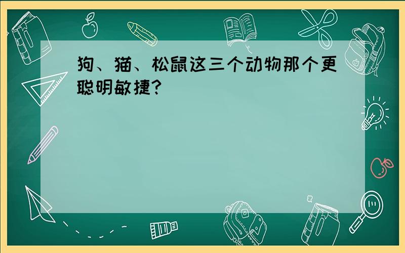 狗、猫、松鼠这三个动物那个更聪明敏捷?