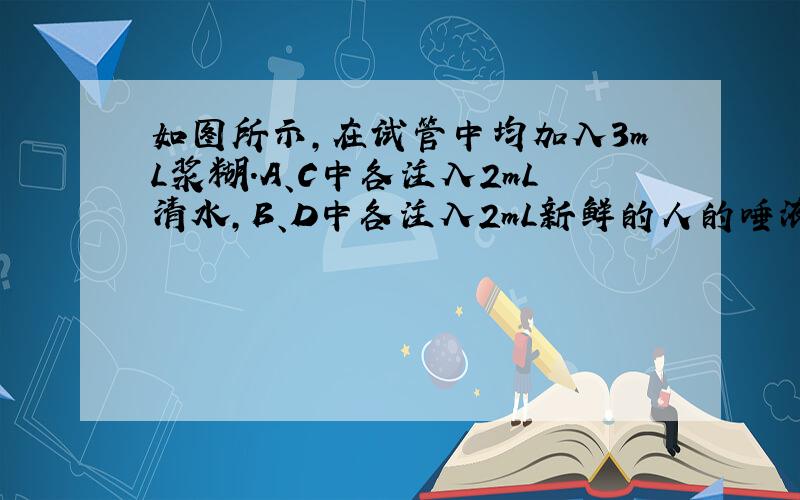 如图所示，在试管中均加入3mL浆糊.A、C中各注入2mL清水，B、D中各注入2mL新鲜的人的唾液淀粉酶，保温5min后分