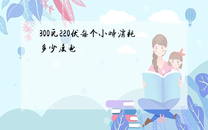 300瓦220伏每个小时消耗多少度电