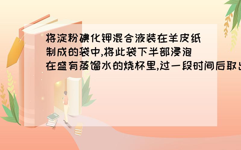 将淀粉碘化钾混合液装在羊皮纸制成的袋中,将此袋下半部浸泡在盛有蒸馏水的烧杯里,过一段时间后取出烧杯