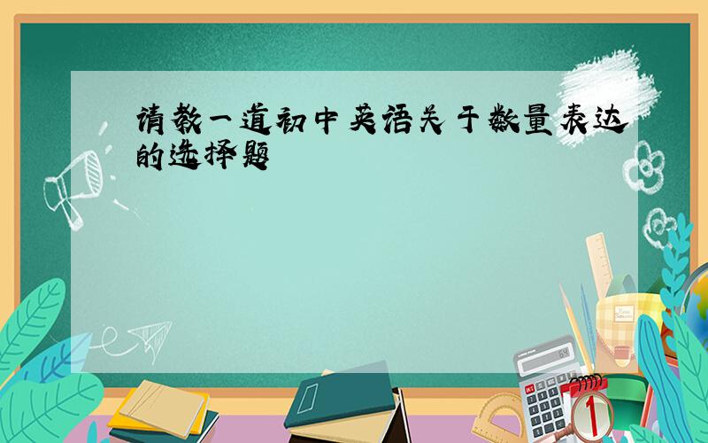 请教一道初中英语关于数量表达的选择题