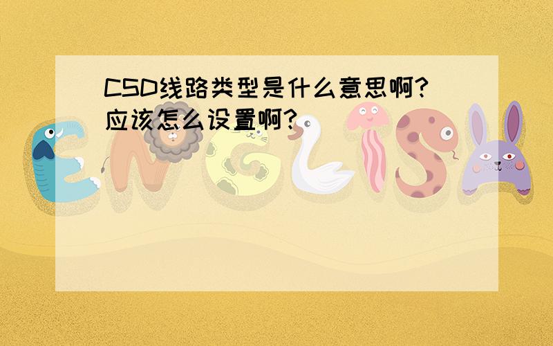 CSD线路类型是什么意思啊?应该怎么设置啊?